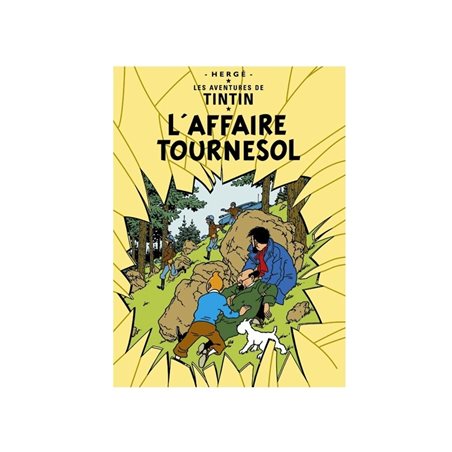 Cover-Poster Tintin: L´Affaire Tournesol