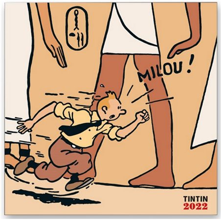 Tintin Calendar Big 2022, 30x30cm (Moulinsart 24449)