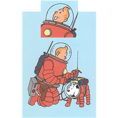 Tintin Duvet Cover and Pillowcase Tintin The Spacewalk (Moulinsart 130341) 