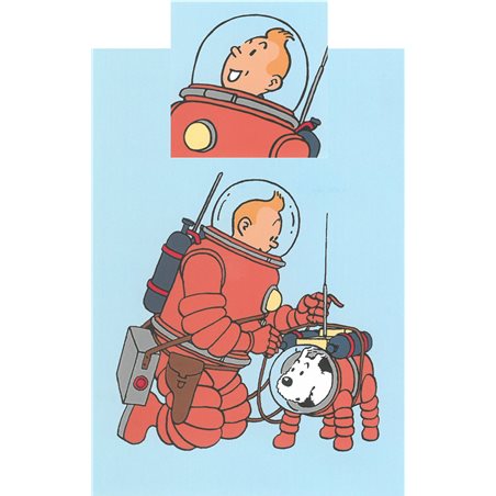 Tintin Duvet Cover and Pillowcase Tintin The Spacewalk (Moulinsart 130341) 
