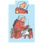 Tintin Duvet Cover and Pillowcase Tintin The Spacewalk (Moulinsart 130341) Tintin Duvet Cover and Pillowcase Tintin The Spacewalk (Moulinsart 130341)