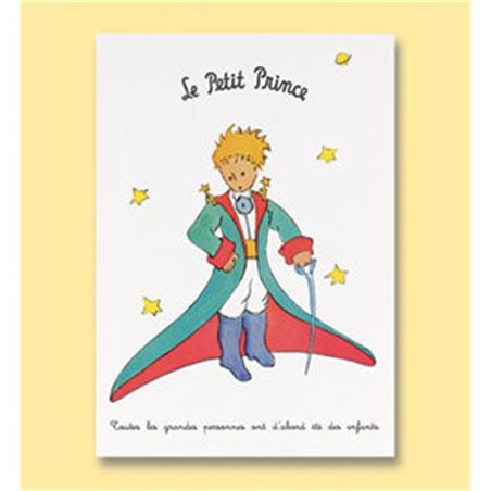 Postcard Little Prince, Double card